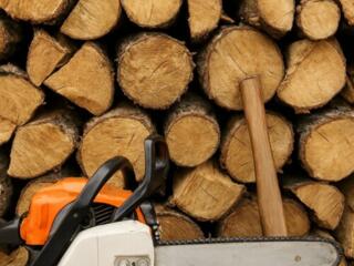 Пилю _ Колю дрова.