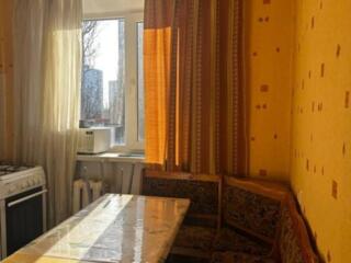 Ваша новая точка отсчёта — уют в сердце города