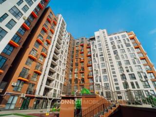 Str. Andrei Doga, Riscani, Chisinau