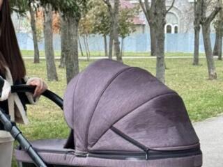 Коляска Adamex Chantal 2v1 1800р