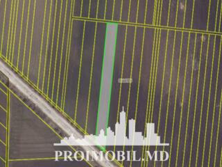 Spre vânzare se oferă teren agricol, situat în Tohatin.Suprafața ...