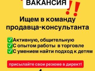 Продавец-консультант