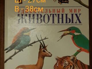 УДИВИТЕЛЬНЫЙ МИР ЖИВОТНЫХ