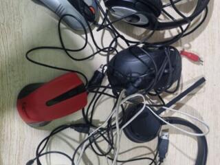 За всё 100 рублей.