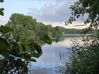 Познакомлюсь с женщиной для тайных свиданий