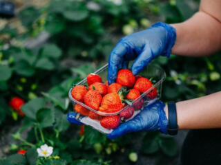 Скидки на оформление!