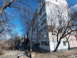 1-комнатная квартира, Ботаника.