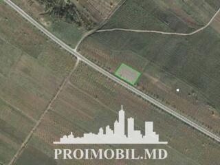 Spre vânzare se oferă oferă teren agricol în r. Ialoveni, șos. ...