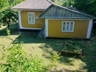 Vinzare Продаётся