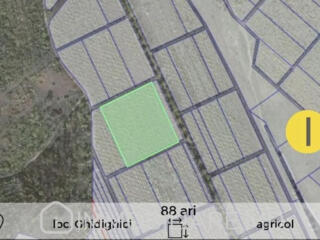 Teren agricol, com. Ghidighici Vă propunem spre vânzare un teren ...