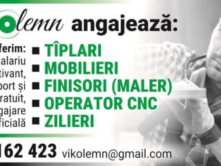 Vikolemn angajeaza: Tiplari, mobilieri, finisorioperator cnc. zilieri