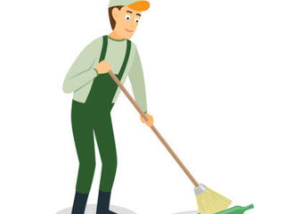 Дворник 8000 леев