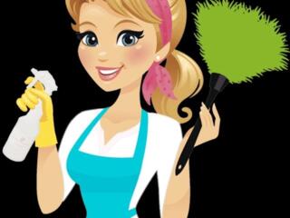 Требуется домработница, 1-2 раза в неделю.