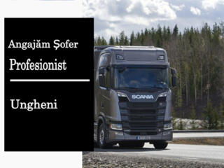 Angajăm Șofer Expeditor (categoria C și E)