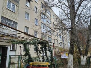 Компактная квартира. Микр. Балка.