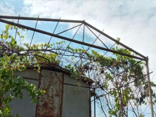 Строение б. у.