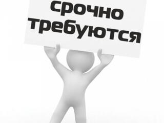 Приглашаем на стабильную работу!