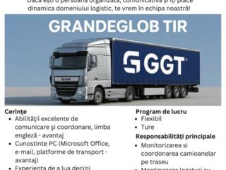 Anunț de angajare DISPECER TRANSPORT internațional