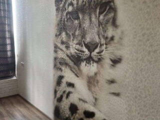 Продам  2х комнатную квартиру на Французском бульваре.