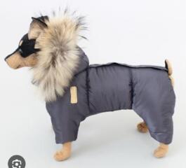 Куплю одежду для собак