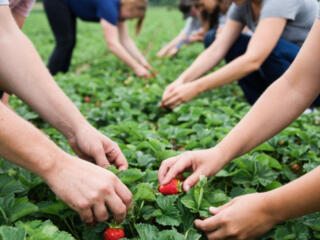 Работа в Германии для женщин.