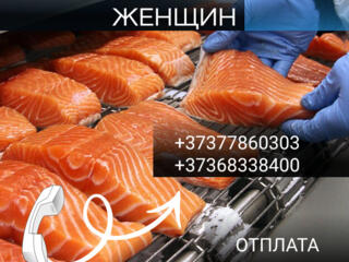 Требуются Женщины на рыбное производство. Латвия. (БИО ПАСПОРТ)