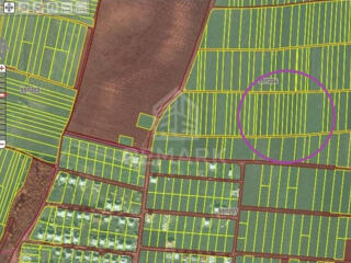 14 ari în Băcioi! Se vinde teren în com. Băcioi, la 10 min. distanță .