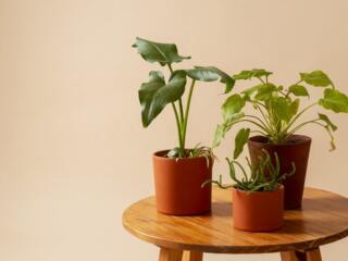 Изготовление пластиковых горшков для цветов