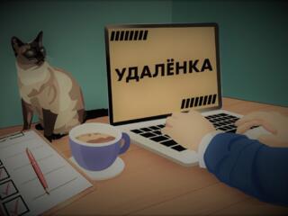 Ищу удалённую работу с гибким графиком, Тирасполь