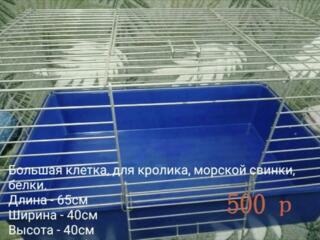 Большая клетка