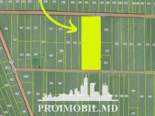 Spre vânzare se oferă teren pentru construcții, situat în Băcioi. ...