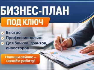 Бизнес план (бизнес-стартап) под ключ