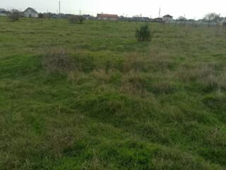 В продаже участок 6 соток правильной формы в пригороде Черноморска ...