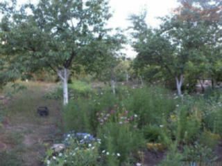 Продам земельный участок на ул. Геологической (Суворовский район)