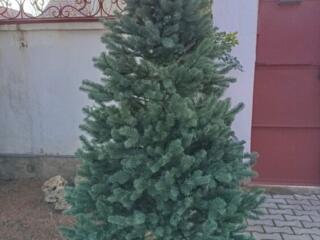 Продам Новогоднюю Елку