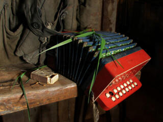 Куплю гармонь, баян.