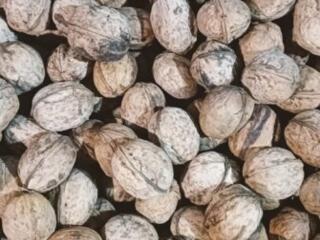 Продам орехи!