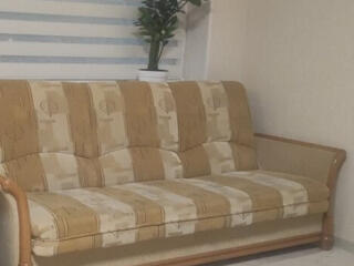 Диван книжка. Основа натуральное дерево. Торг.