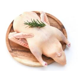 Мясо индо-утки