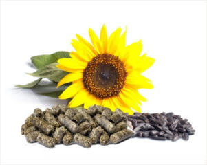 Куплю подсолнечный шрот(Макуха)