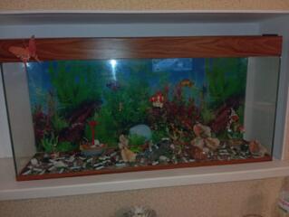 Продам аквариум