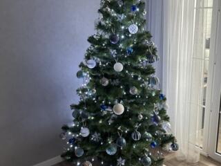 Елка пушистая зеленая