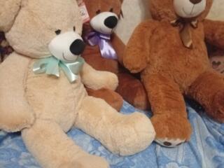 Продам метровых Мишек.