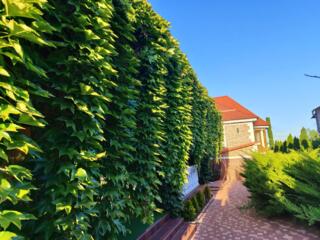 Продаётся великолепный 2х этажный дом в центре  с.Усатово.