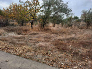 Продам участок в селе Латовка, ближний пригород Одессы