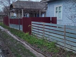 Продоется дом а селе Гинкауцы, Единцкий район