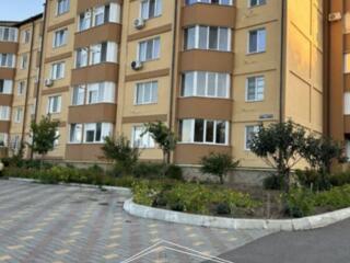 4-комнатная Бендеры серый вариант