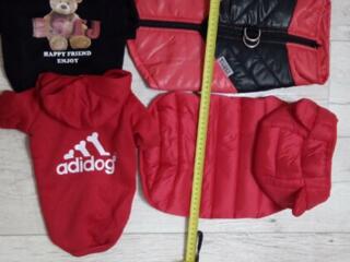 Новая одежда для собаки