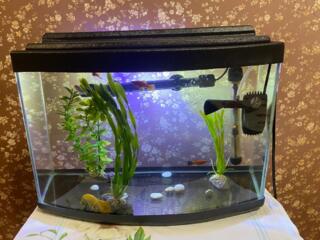 Аквариум в отличном состоянии