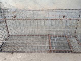 Продам живоловушку...